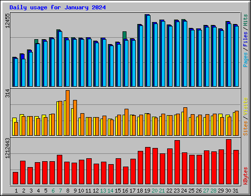 Daily usage for January 2024