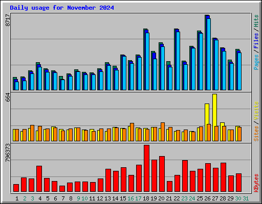 Daily usage for November 2024