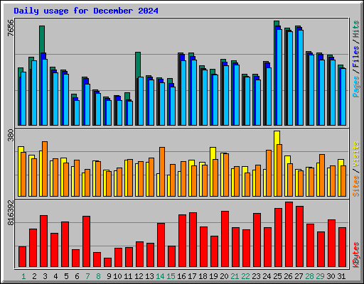 Daily usage for December 2024