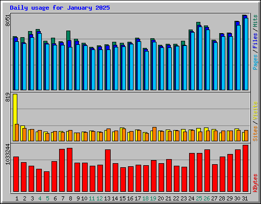 Daily usage for January 2025