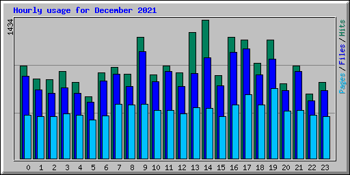 Hourly usage for December 2021