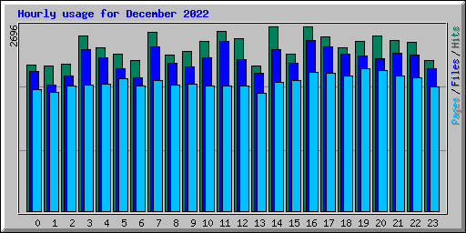 Hourly usage for December 2022