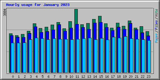 Hourly usage for January 2023