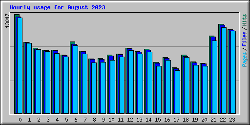 Hourly usage for August 2023