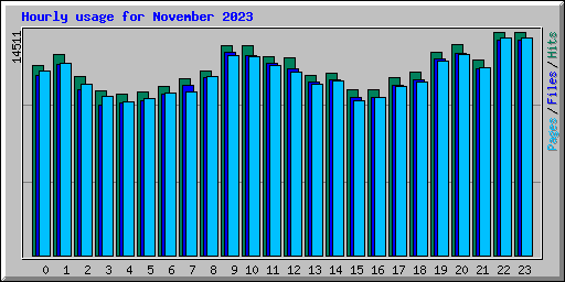 Hourly usage for November 2023