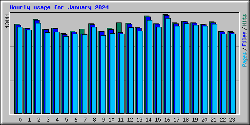 Hourly usage for January 2024