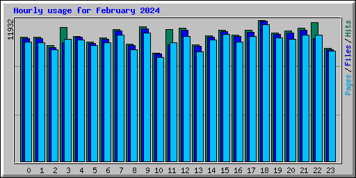 Hourly usage for February 2024