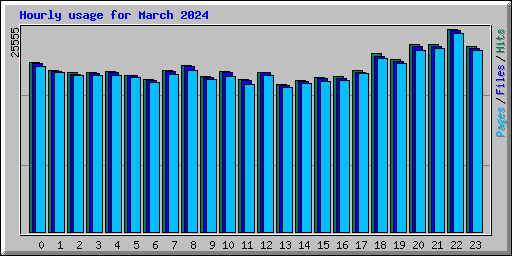 Hourly usage for March 2024