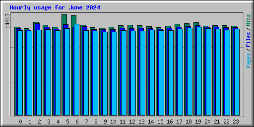 Hourly usage for June 2024