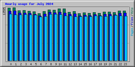 Hourly usage for July 2024