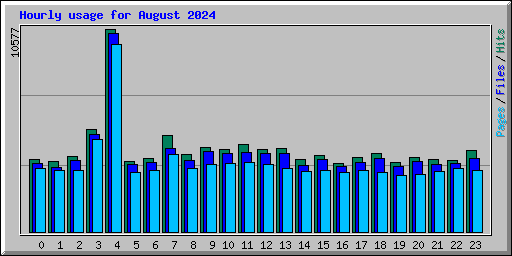 Hourly usage for August 2024