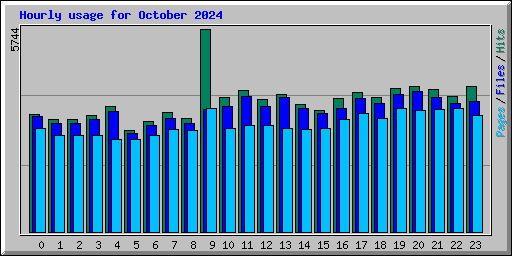 Hourly usage for October 2024