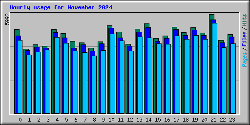 Hourly usage for November 2024