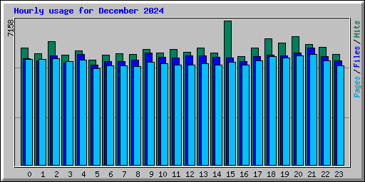 Hourly usage for December 2024