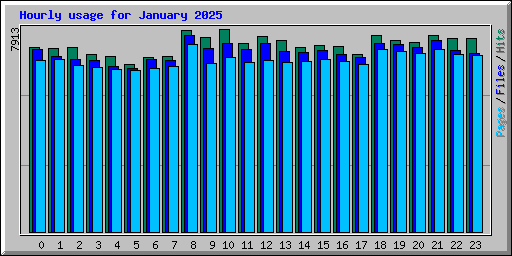 Hourly usage for January 2025