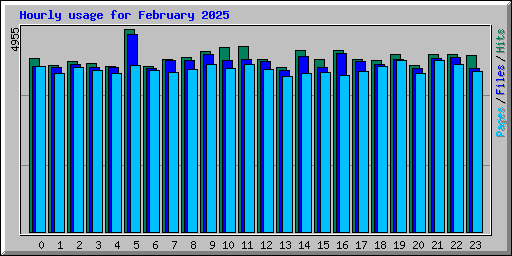 Hourly usage for February 2025