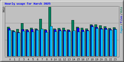 Hourly usage for March 2025