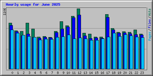 Hourly usage for June 2025
