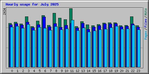 Hourly usage for July 2025