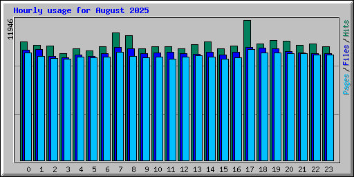 Hourly usage for August 2025