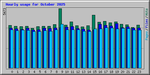Hourly usage for October 2025