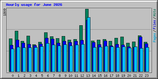 Hourly usage for June 2026